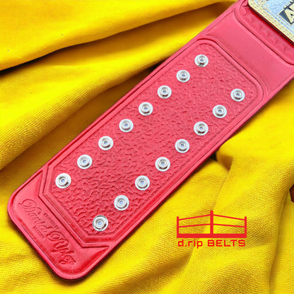 AEW TNT V1-V2 Replica Championship Hand Crafted Real Leather Strap