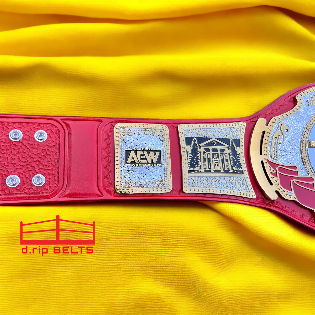 AEW TNT V1-V2 Replica Championship Hand Crafted Real Leather Strap
